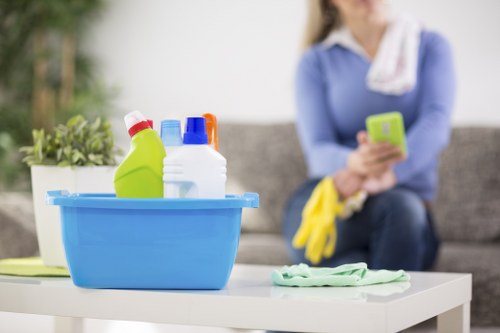 Steam carpet cleaning service in a family living room