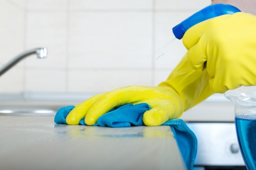 Blotting a fresh pet accident for odour removal