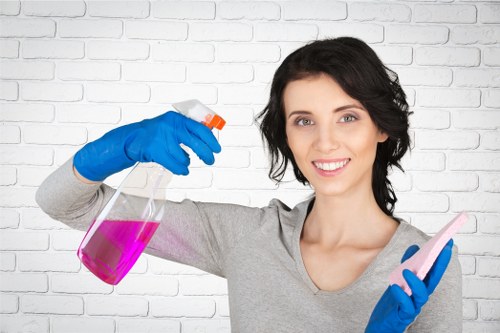 Professional rug cleaning equipment in use