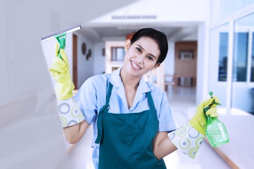 Treating a mattress stain during home cleaning